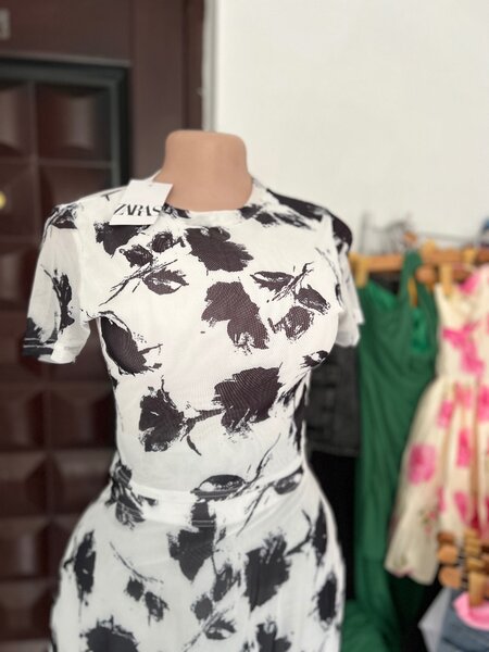 Zara mesh maxi skirt and top