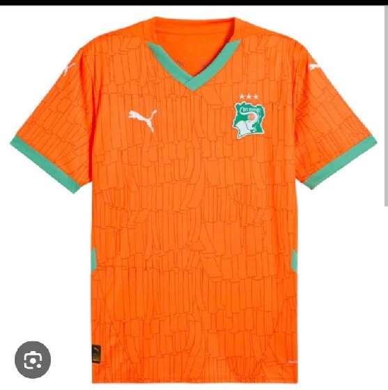 Maillots de football Puma