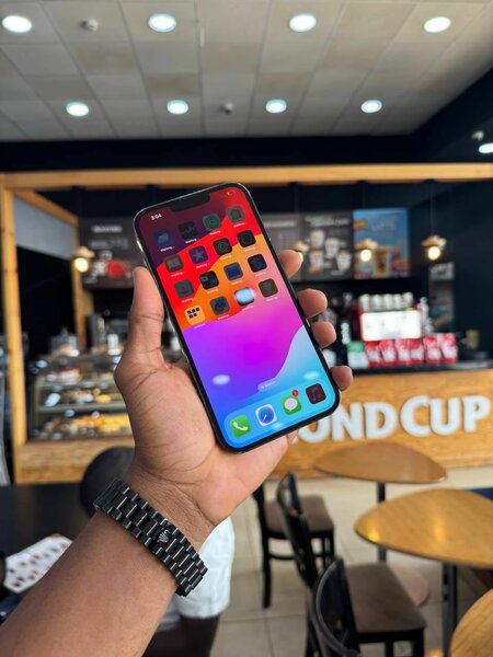 iPhone 13 Pro Max, 256GB