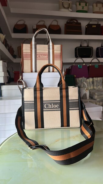 Sac à bandoulière élégant