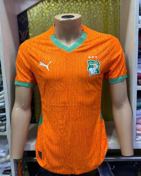 Maillot Côte d'Ivoire Puma