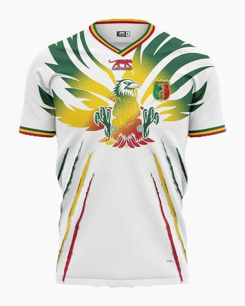 Maillot Équipe Nationale Stylé