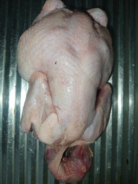 Poulet entier frais