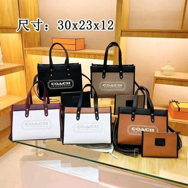 Sac à main COACH en cuir