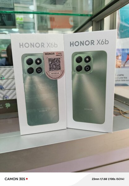 Hnorx6b