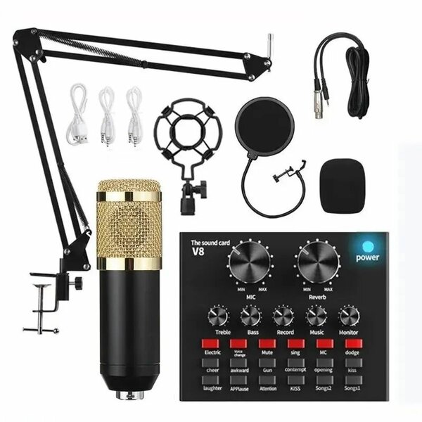 BM800 Microphone Kit With Livestream Sound Card Interface
