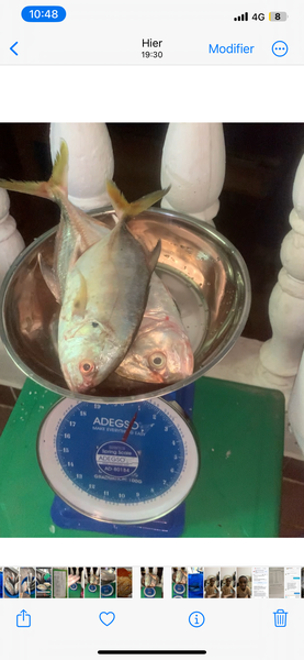 Poissons frais sur balance