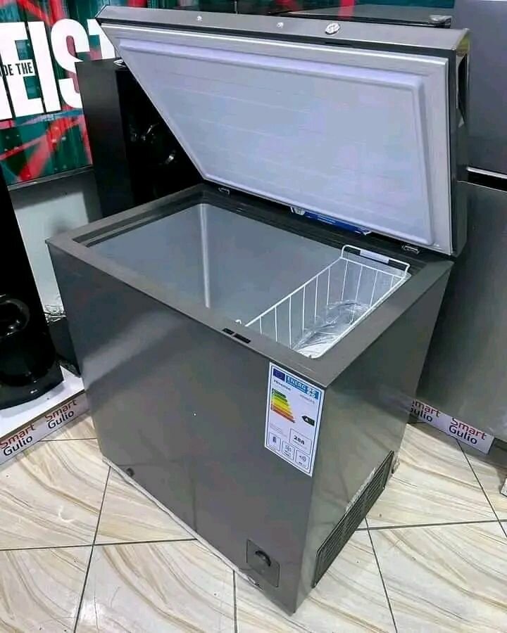 Congélateur coffre grande capacité