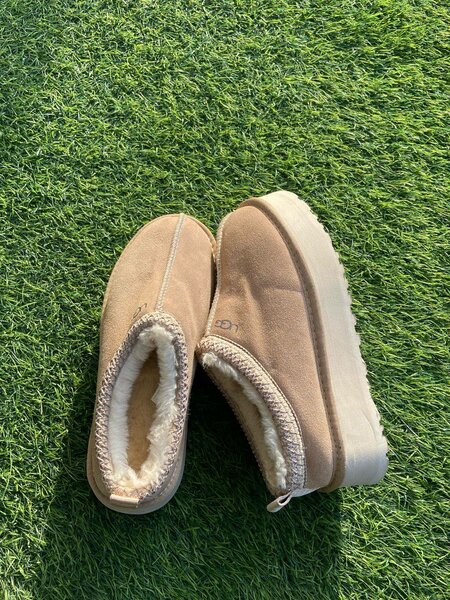 UGGs tazz Shoes