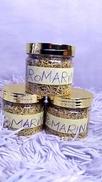 Romarin Séché en Pots