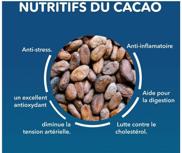 Cacao en Poudre Bio