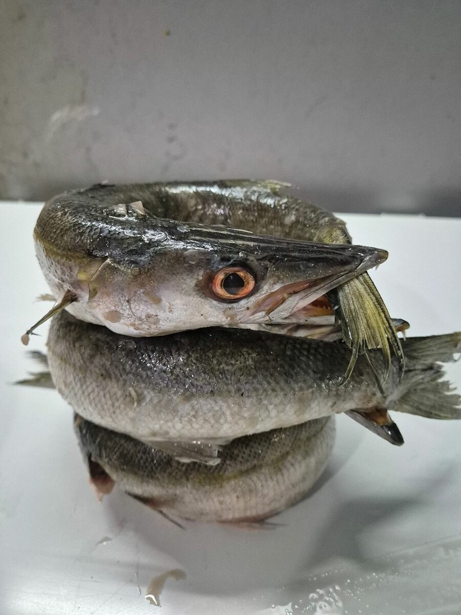 Poisson frais entier