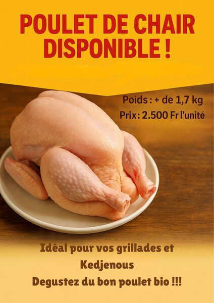 Poulet de Chair Bio