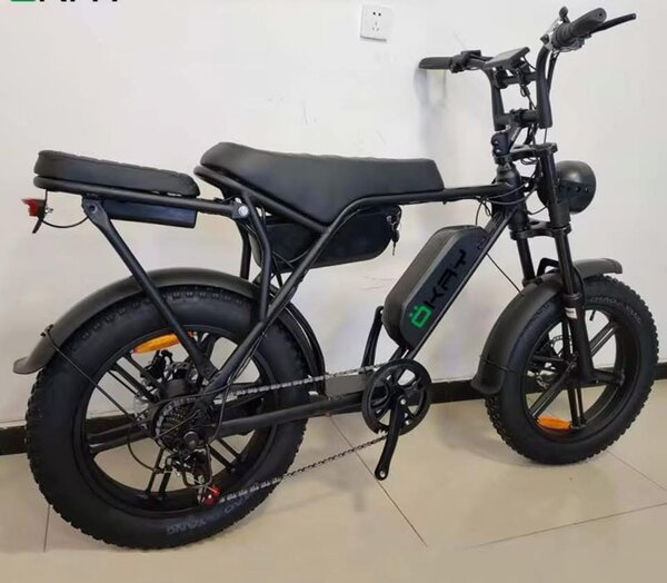 Vélo électrique tout-terrain puissant