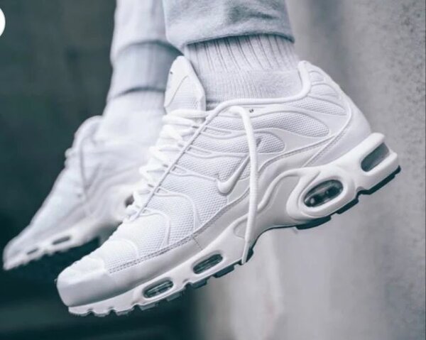 Nike air max plus blanc