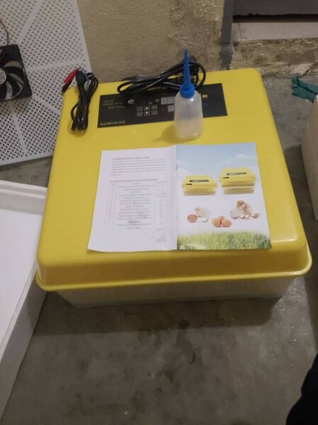 Couveuse automatique 112 œufs