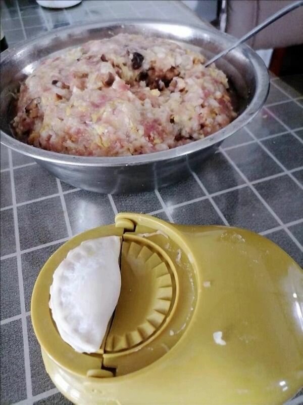 Presse À Raviolis Pratique