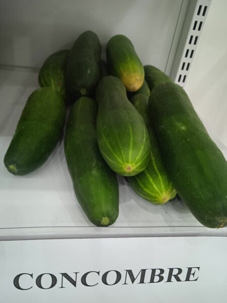 Concombres 625 f / kg