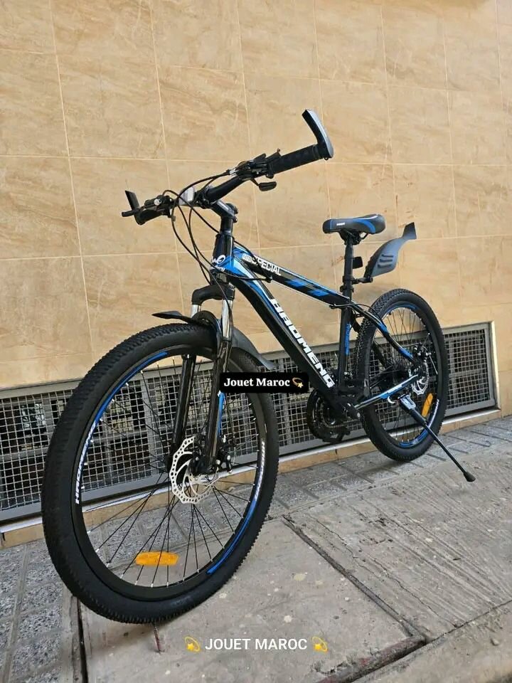 Vélo électrique tout terrain