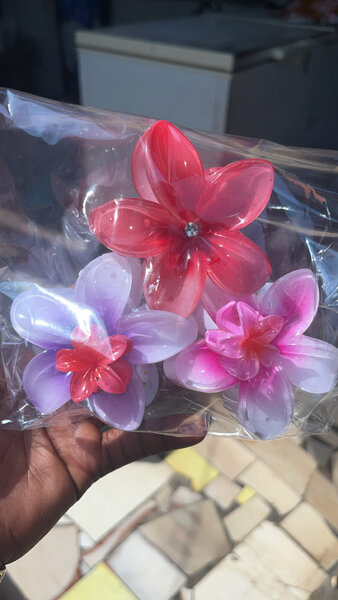 Pinces pour les cheveux