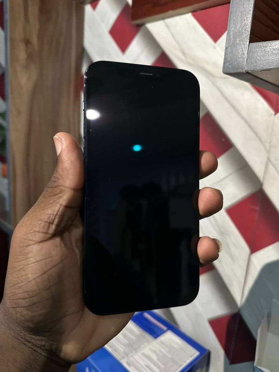 iPhone 12 Pro Max 256 gig