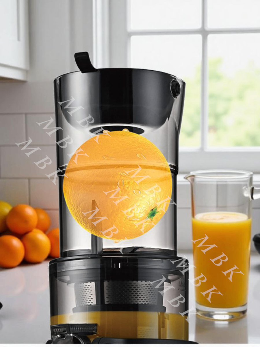 Extracteur de Jus Lente Haley