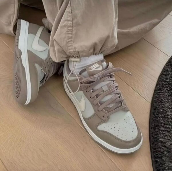 Nike low dunks Moon Fossil