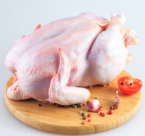 Poulet de chair