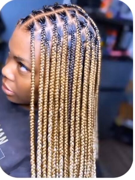 Tresses synthétiques blondes