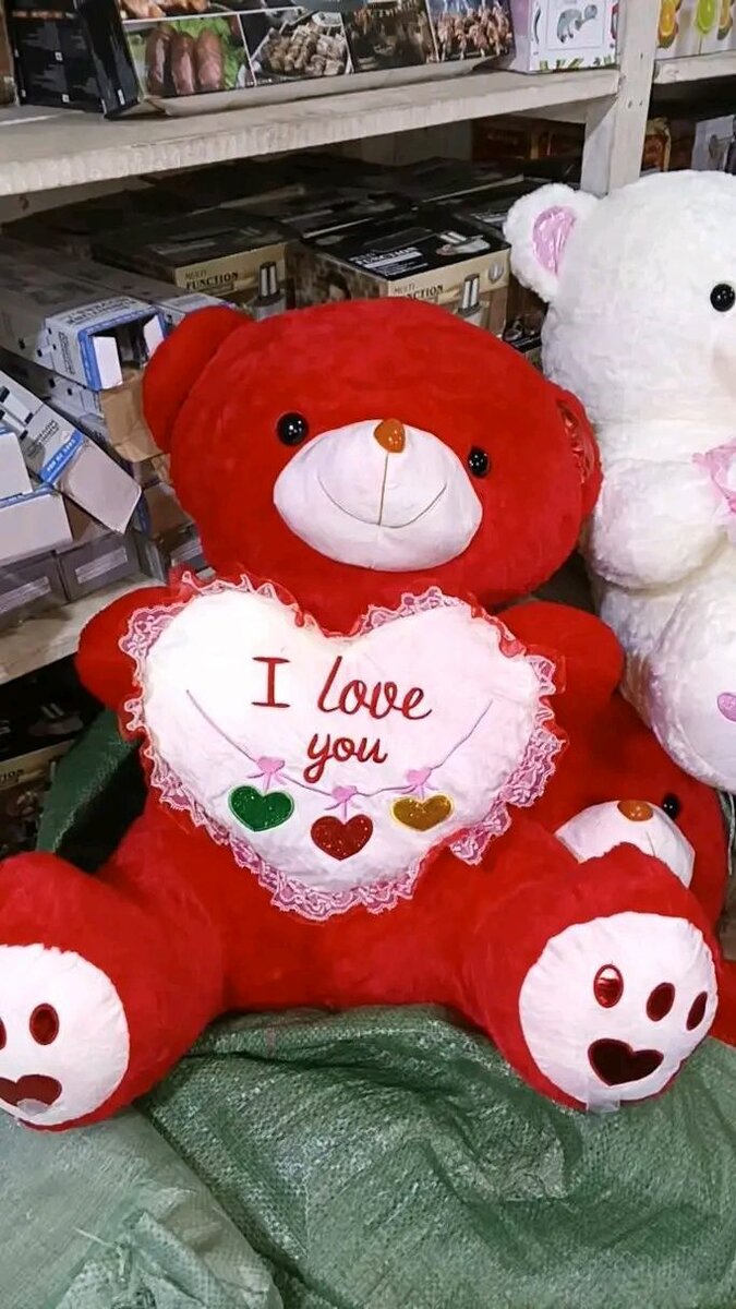 Ours en peluche avec coeur