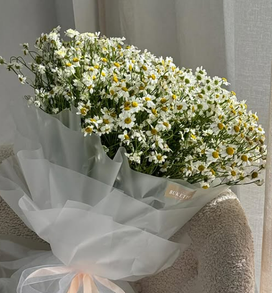 Кустовые ромашки