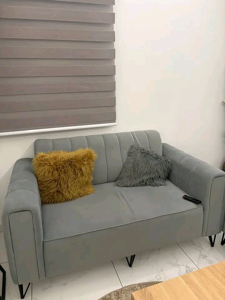 Canapé moderne en velours gris