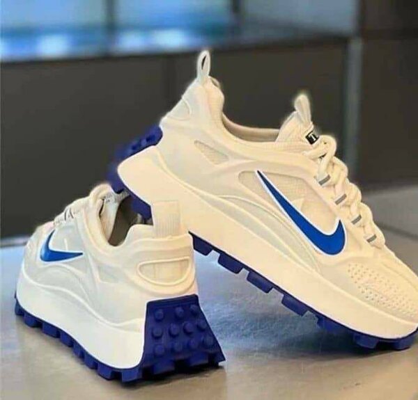 Chaussures Nike Blanches et Bleues pour Homme