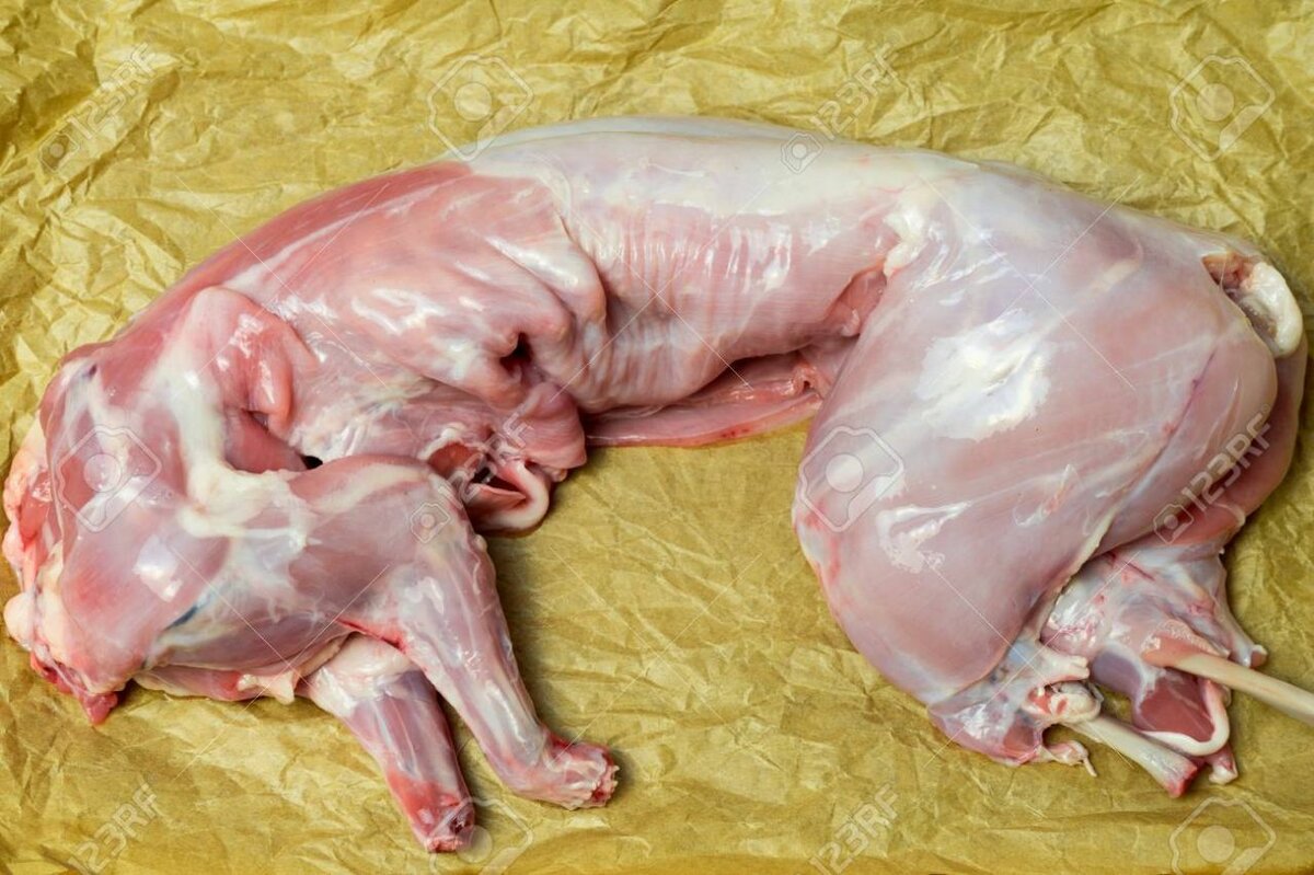 Viande de Lapin Fraîche 1.6