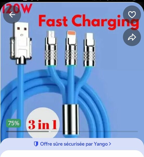 Câble de Charge Rapide 3 en 1