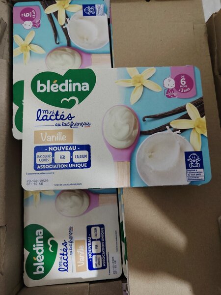 BLEDINA Mini Lactés Vanille