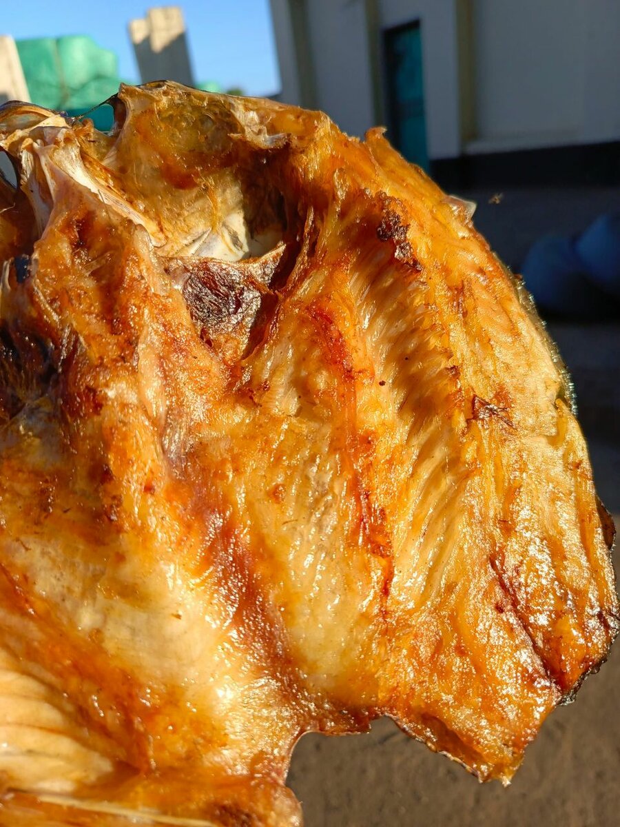 Moto moya semi dry fish