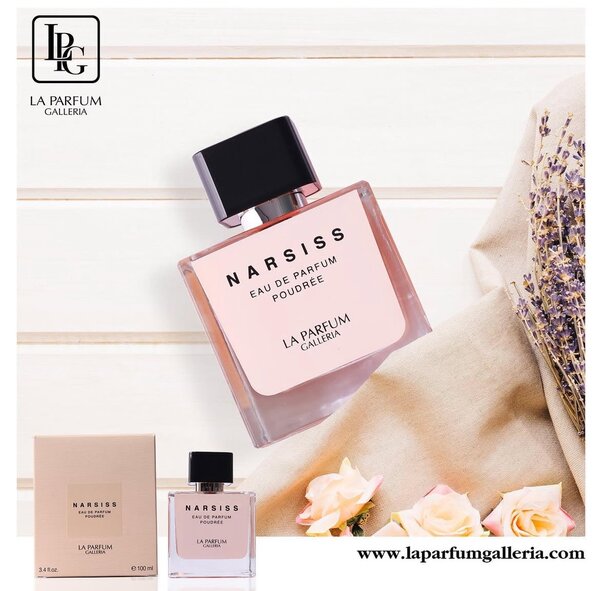 NARSISS