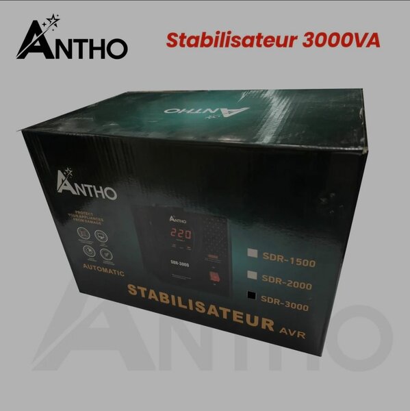 STABILISATEUR 3000VA