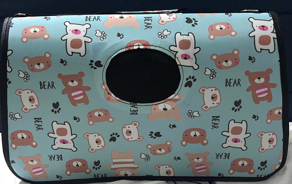 Sac de transport pour animaux