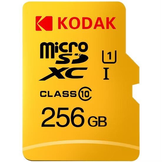 Carte mémoire microSD KODAK 256Go