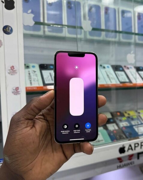 iPhone 13 Pro Max Argent