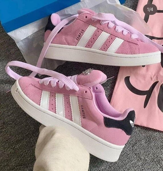 Baskets Adidas Campus Suède