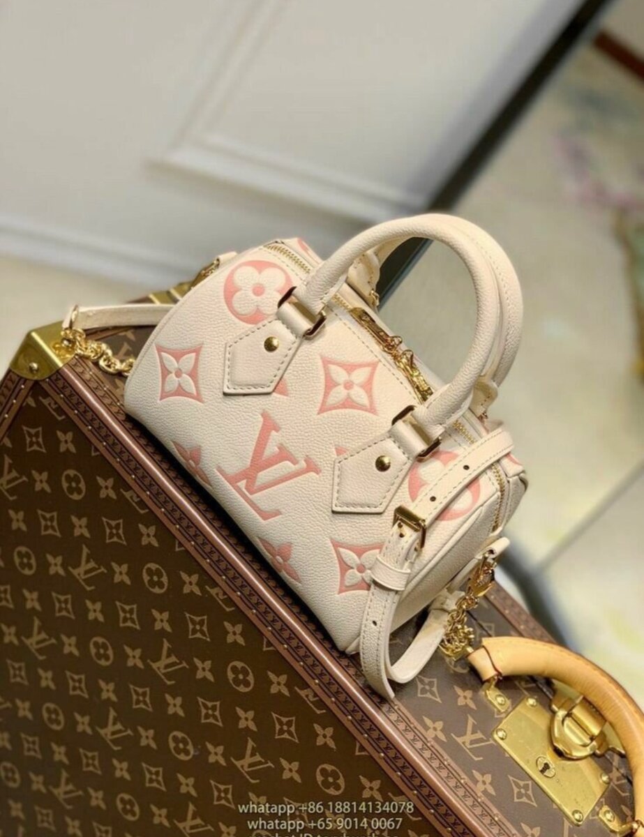 LV PURSE