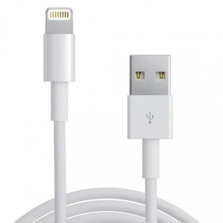 Câble Lightning USB iPhone