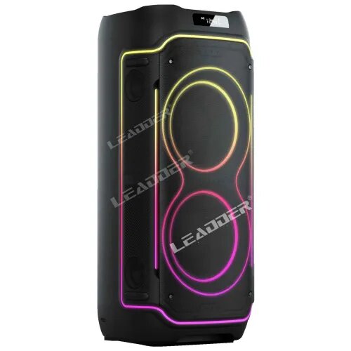 Enceinte de Fête Professionnelle LED