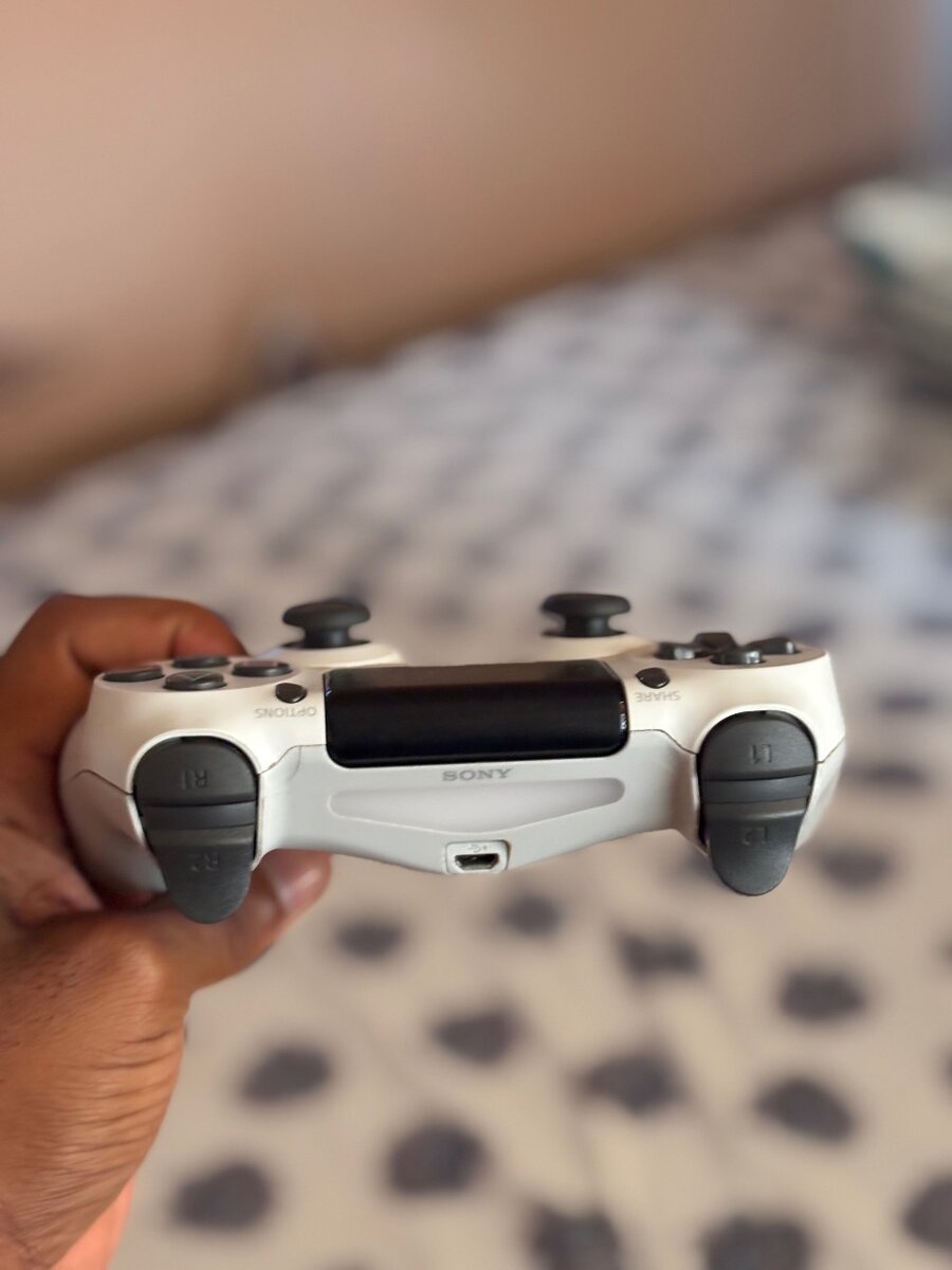 PS4 Controller