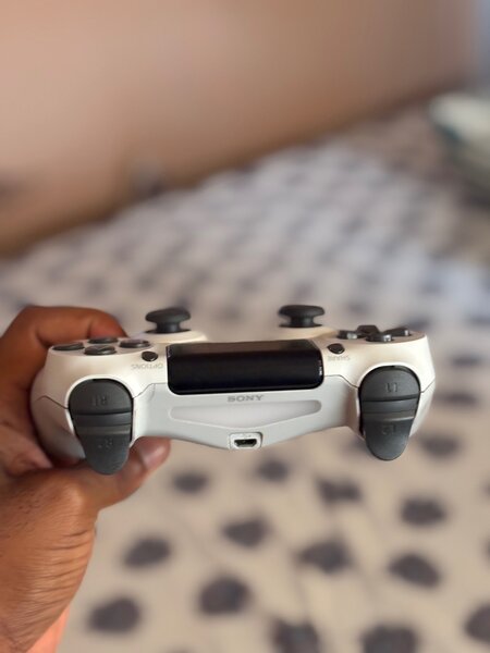 PS4 Controller