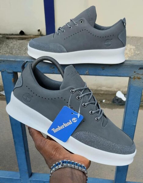 Baskets Timberland Homme Élégantes