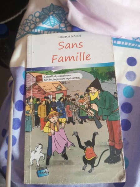 Sans Famille - Hector Malot
